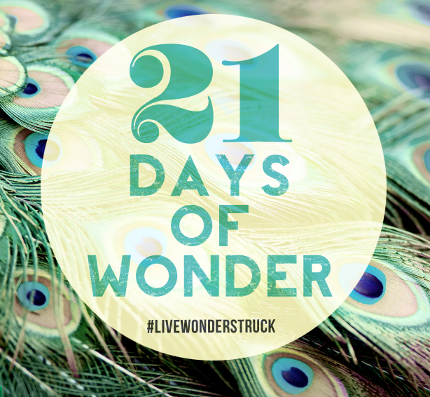 21 Days of Wonder