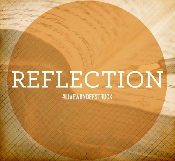 21 Days of Wonder REFLECTION