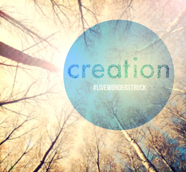 21 Days of Wonder CREATION