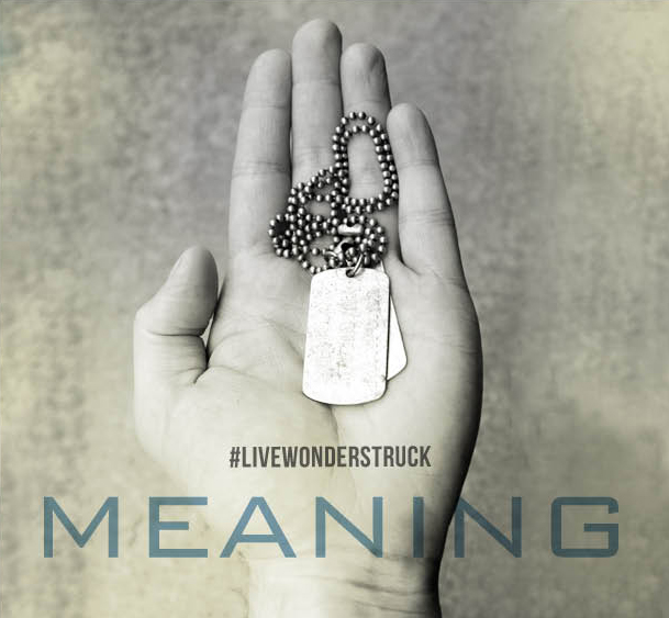 21 Days of Wonder MEANING