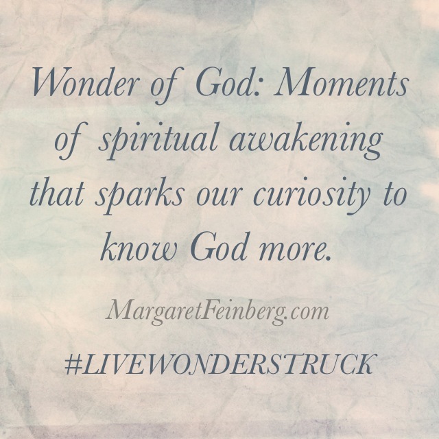 Are you Spiritually Asleep? (Plus What in the World is Wonderstruck Wednesday?)