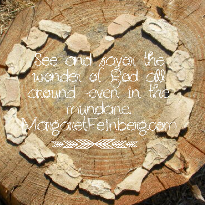 How to Slow Down Today