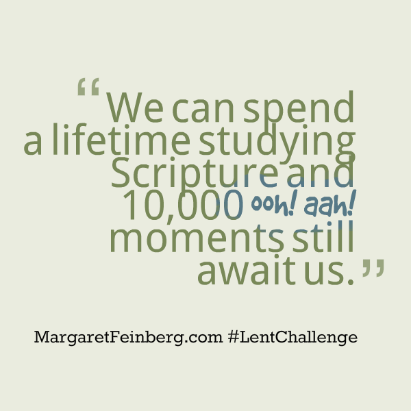 What You’ve Got to Know When You Open Up Your Bible