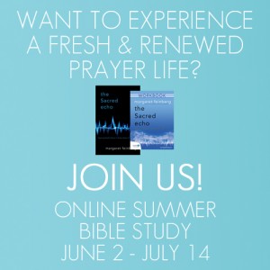 Online Summer Bible Study