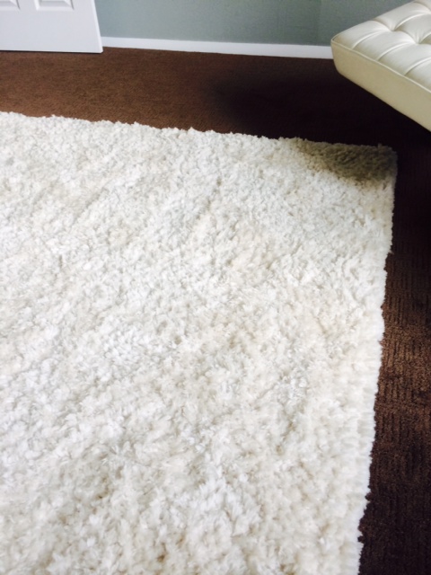 Rug from Costco