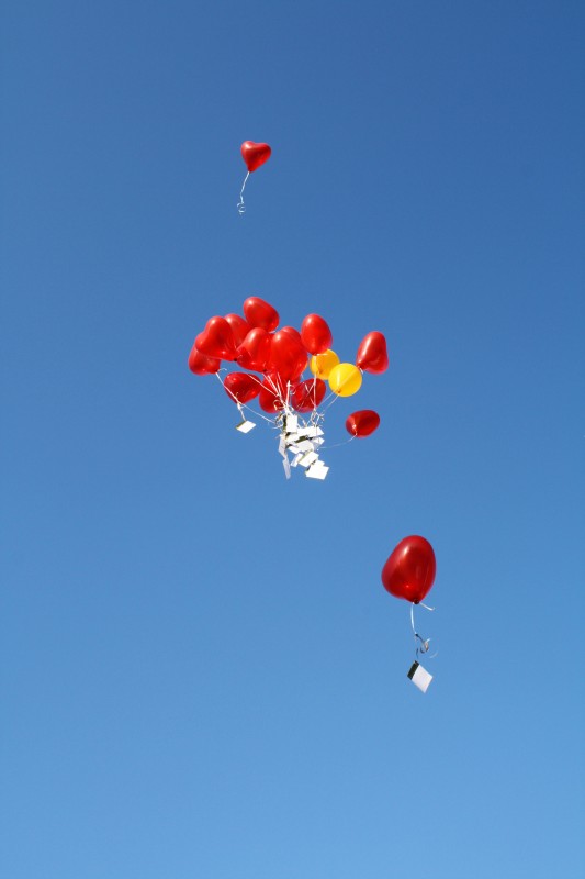 It’s Time to Select Your Spring Bible Study (And FREE gifts)