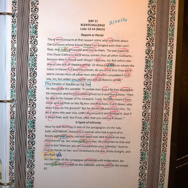 12751345_696650800471814_222206125_n