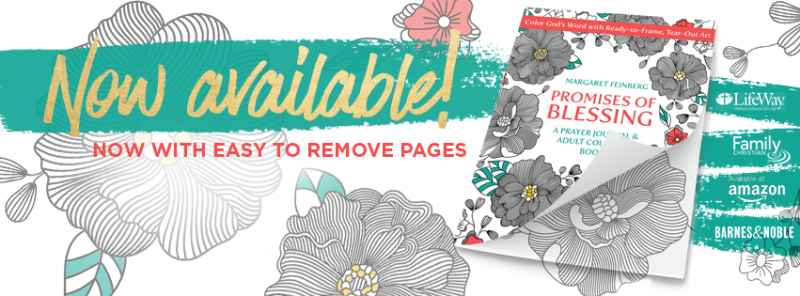 MFeinberg_POB_FB_Banner