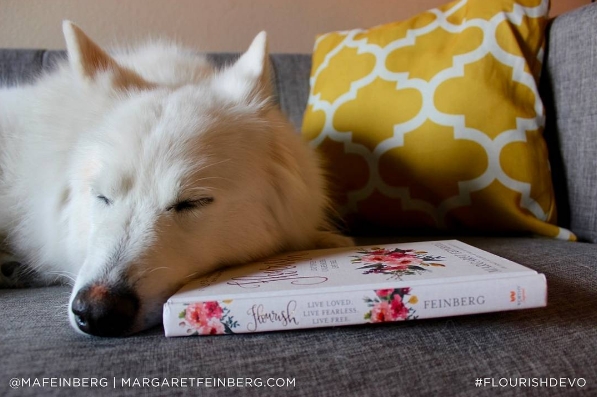 screen-shot-2016-09-29-at-1-38-17-pm