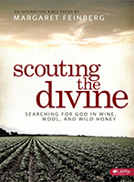 Giveaway: Free Bible Study DVD Sampler with Margaret Feinberg