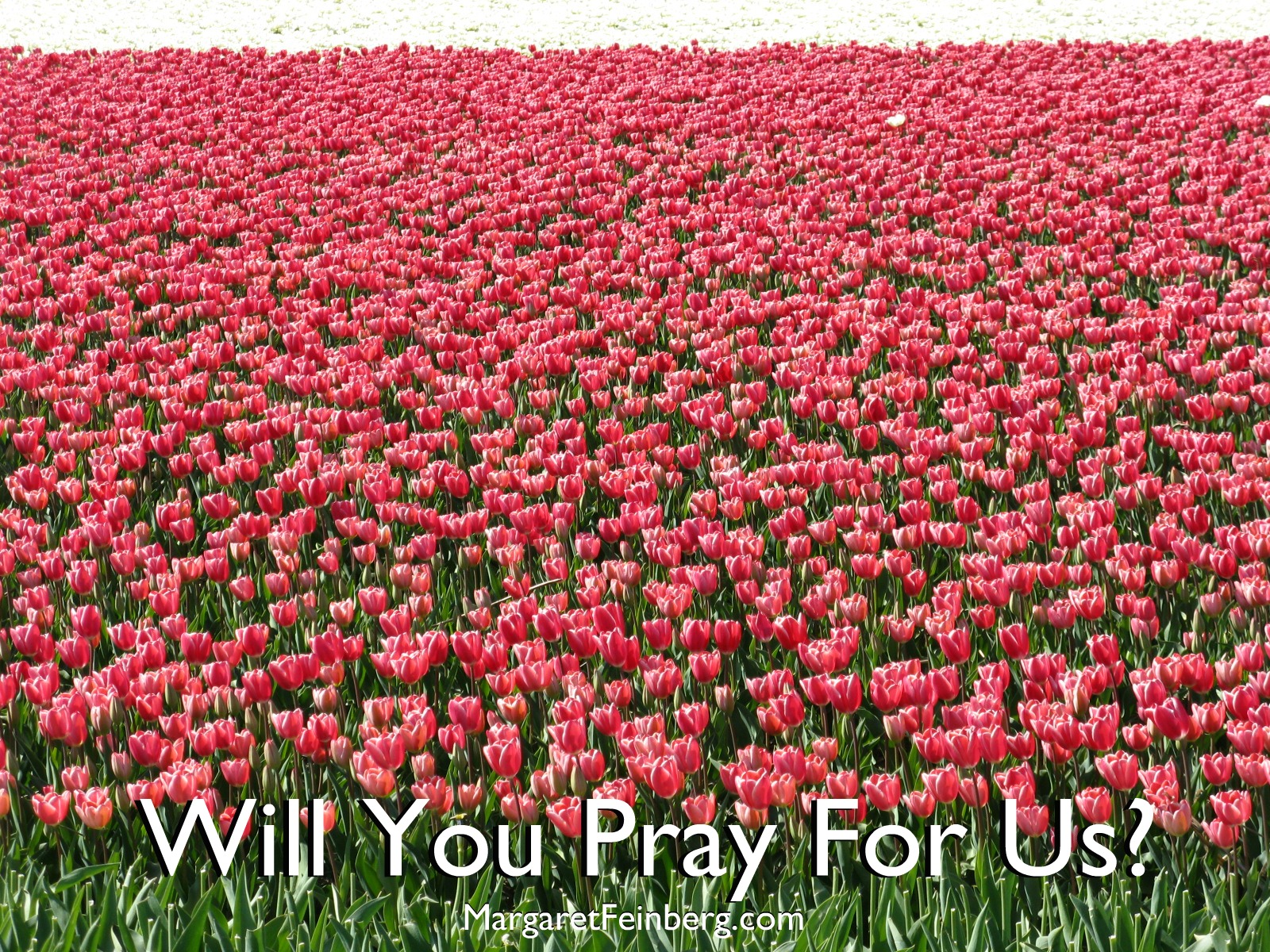 From the Desk Of Leif: Will You Pray For Us?
