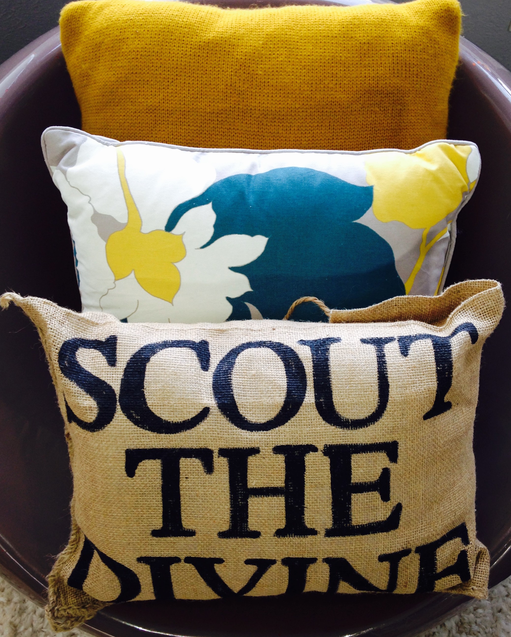 5 Fun Facts about Scouting the Divine (Plus a giveaway!)