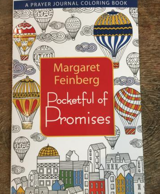 Brand New Adult Coloring Book & Prayer Journal: Pocketful of Promises